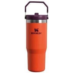 Stanley IceFlow™ Flip Straw Tumbler Pipetli Termos | 0.89L | Turuncu