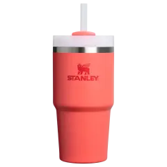 Stanley Quencher H2.O FlowState™ Tumbler Pipetli Termos | 0.6L | Mercan
